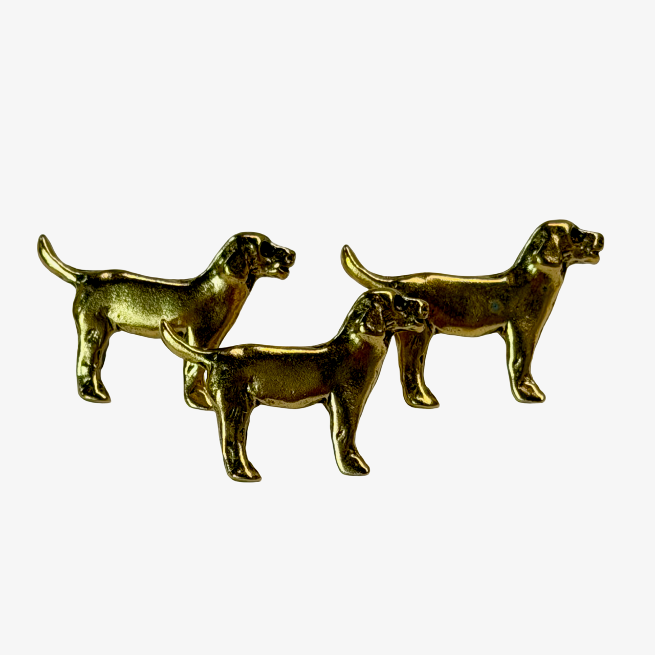 Dogs