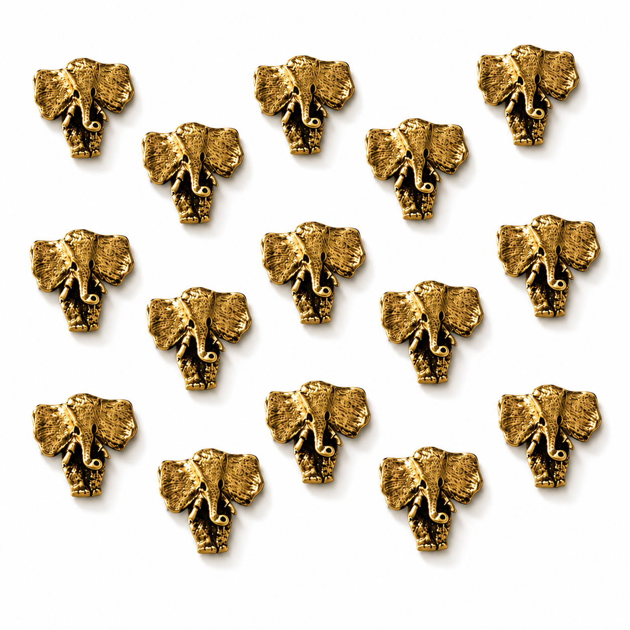Animals