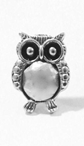 Owl Push Pins (10 Pc Set) | Decorative Silver Thumb Tacks Wisdom Symbol Nature Office Decor Teacher Gift
