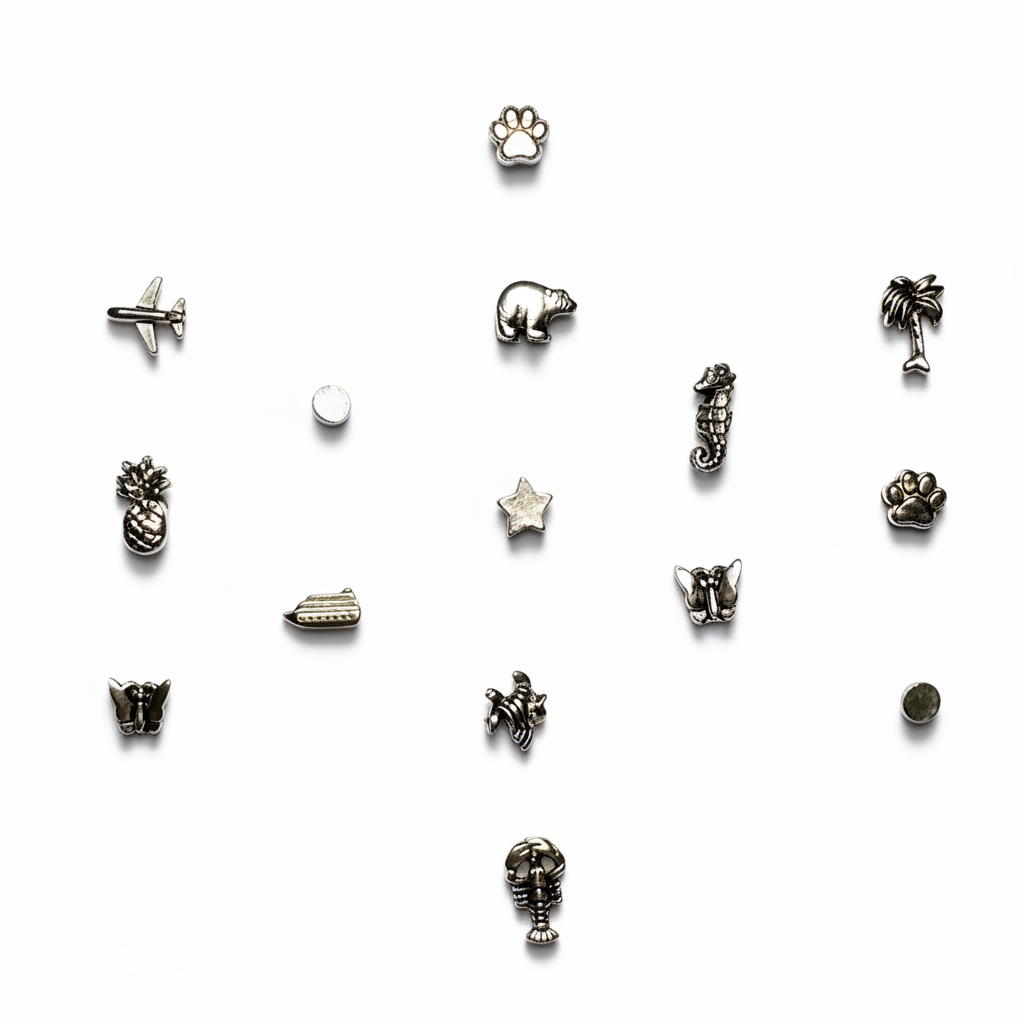 Silver Map Push Pins