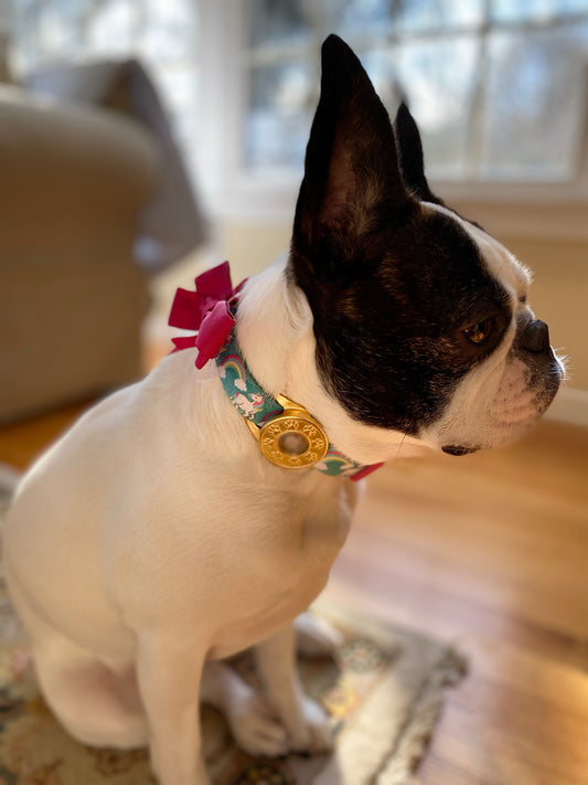 Pet Airtag Holder, Pet Tracker, Dog Collar Aitag Holder, Personalized Dog Tags, Pet ID Tag, Pet Collar Slide on, Available in Heart & Paw