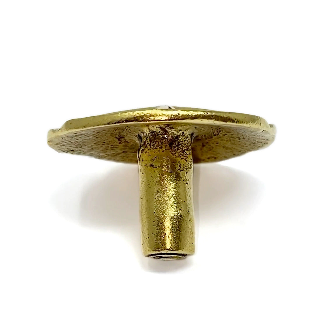 Sand Dollar Knob, Drawer Pull, Cabinet Knob, 1 Piece, Gold Finish