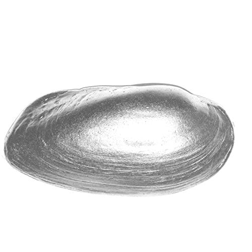 Norma Jean Designs Decorative CABNET Drawer Handle KN505AS Shell Handle