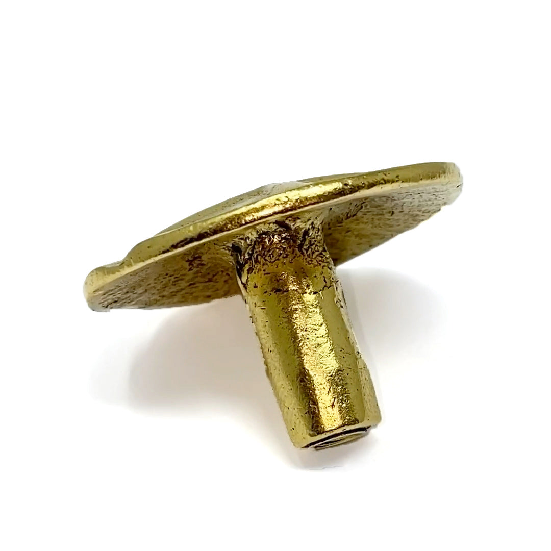 Sand Dollar Knob, Drawer Pull, Cabinet Knob, 1 Piece, Gold Finish